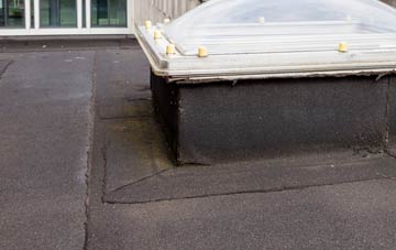 disadvantages of Freystrop flat roofs