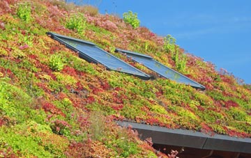 Freystrop living roof systems